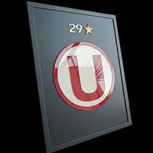 Universitario de deportes exclusivo cuadro en relieve  3D /   U29